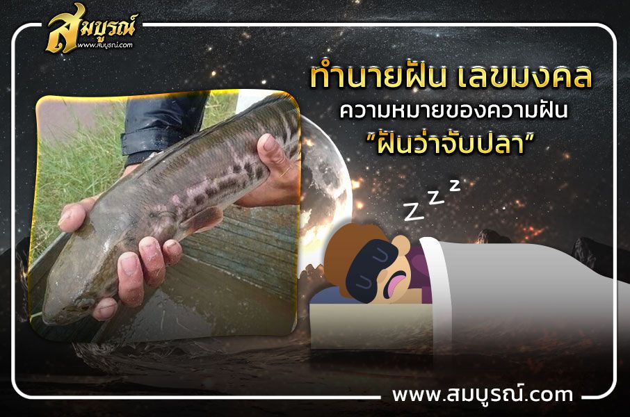 ทำนายฝัน ความหมาย“ฝันว่าจับปลา”เลขเด็ด